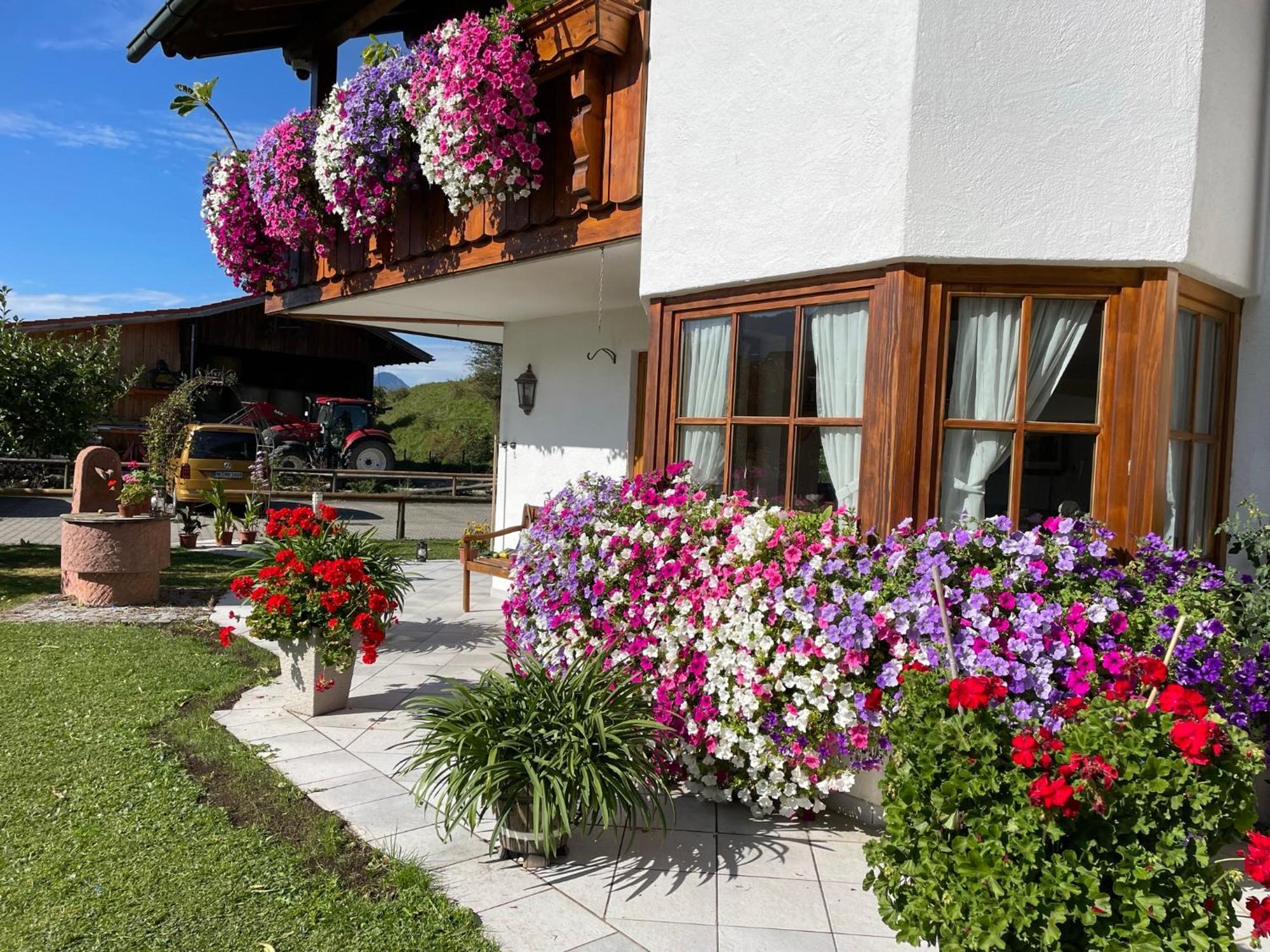 Gaestehaus Seeklause Schwangau Bagian luar foto