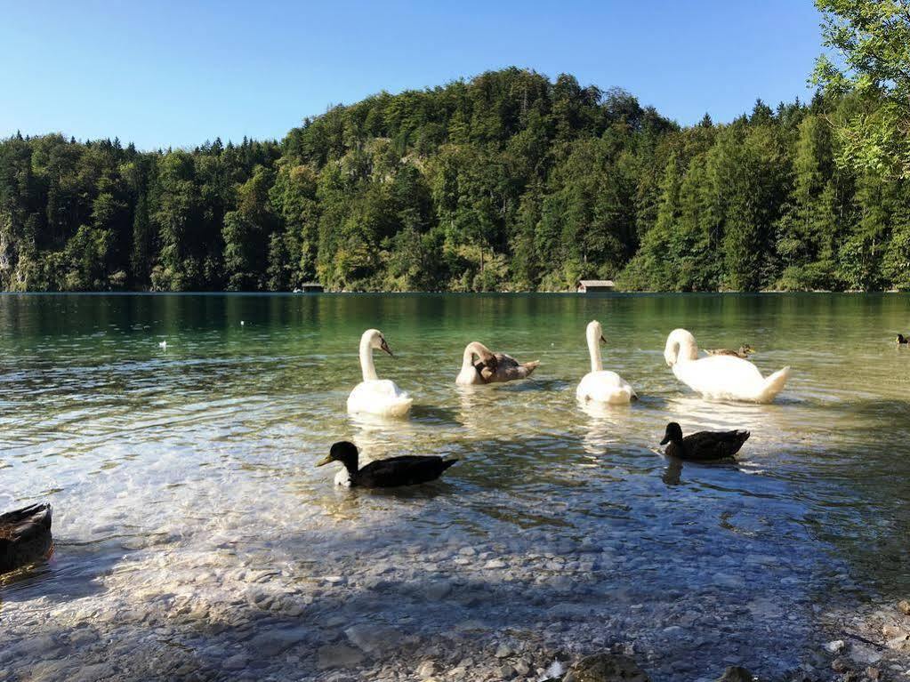 Gaestehaus Seeklause Schwangau Bagian luar foto